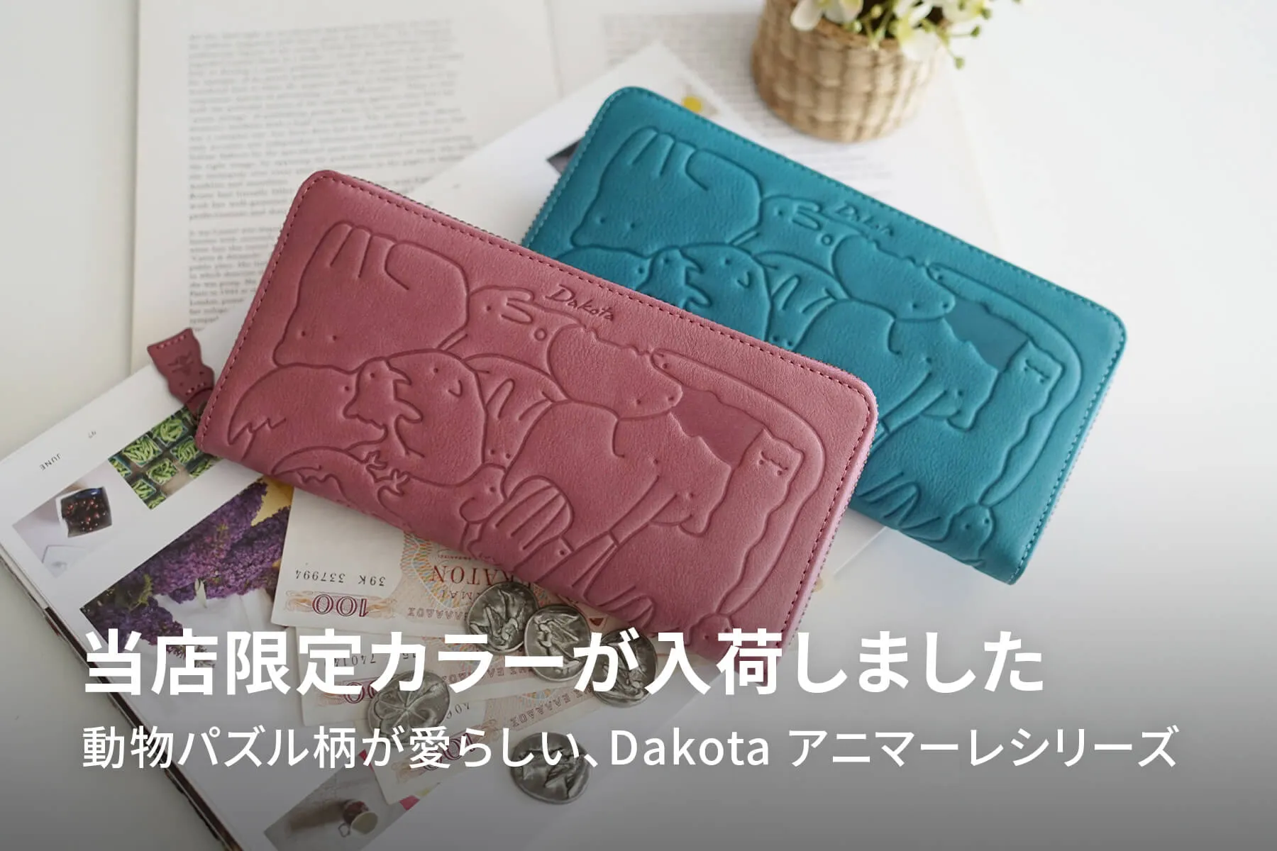 Dakota 当店限定カラー