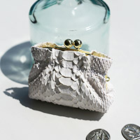 VIA DOANʥ ɥ Bran python 󥱡 456