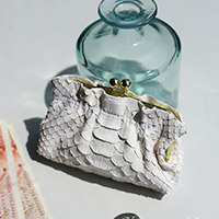 VIA DOAN�ʥ����� �ɥ���� Bran python�ʥ֥��ѥ������ �����󥱡��� 465