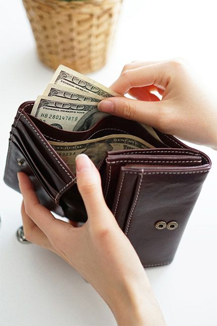 Dakota ダコタ フォンス 小銭入れ付き二つ折り財布 0035891（0034891）