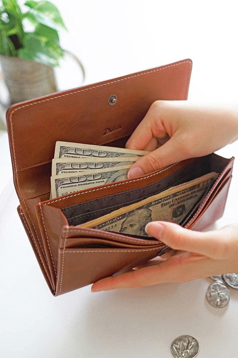 Dakota ダコタ フォンス 小銭入れ付き 長財布 0035893（0034893）