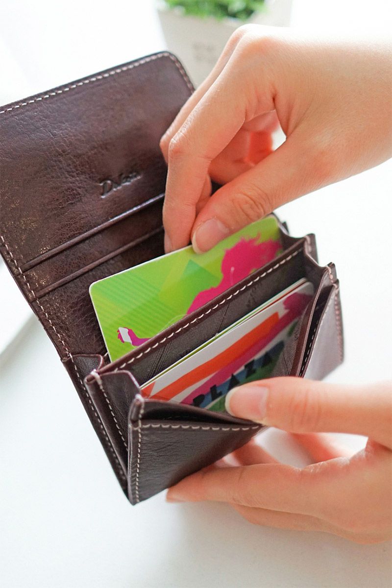 Dakota ダコタ フォンス 名刺入れ 0030558（0035898）