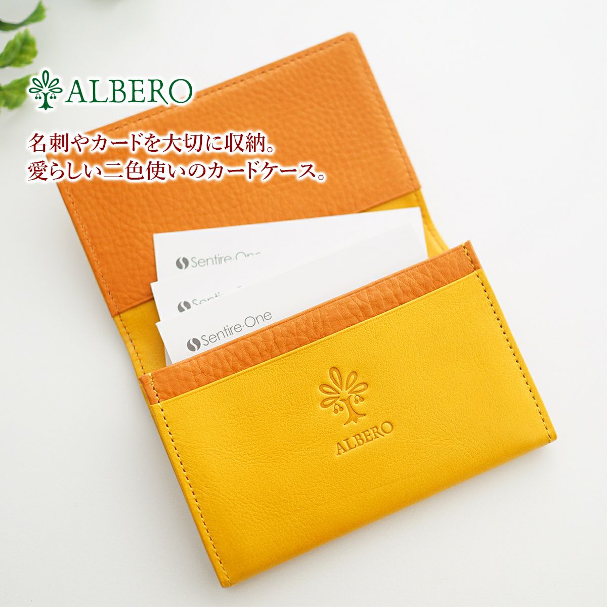 ALBERO アルベロ LYON リヨン カードケース 4360
