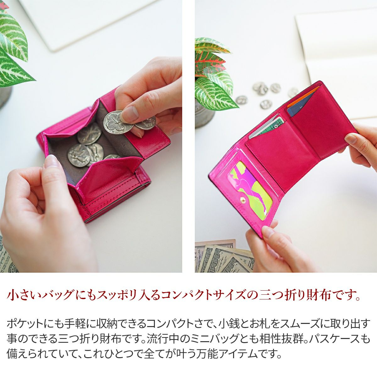 Dakota ダコタ バンビーナ 小銭入れ付き三つ折り財布 0036121