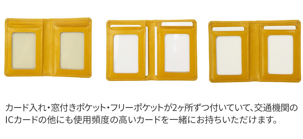 FRAME WORK フレームワーク グロス パスケース 0042010