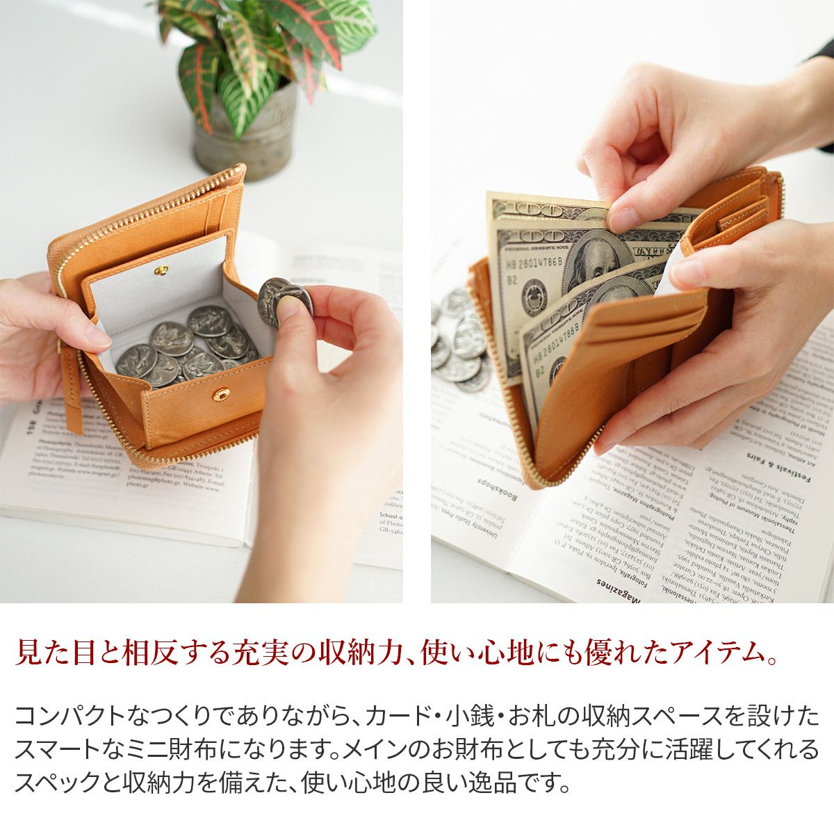 SEAGULL SHIP シーガルシップ イタリア バルサピアラックス 小銭入れ付きミニ財布（L字ファスナー） SZKM-1202