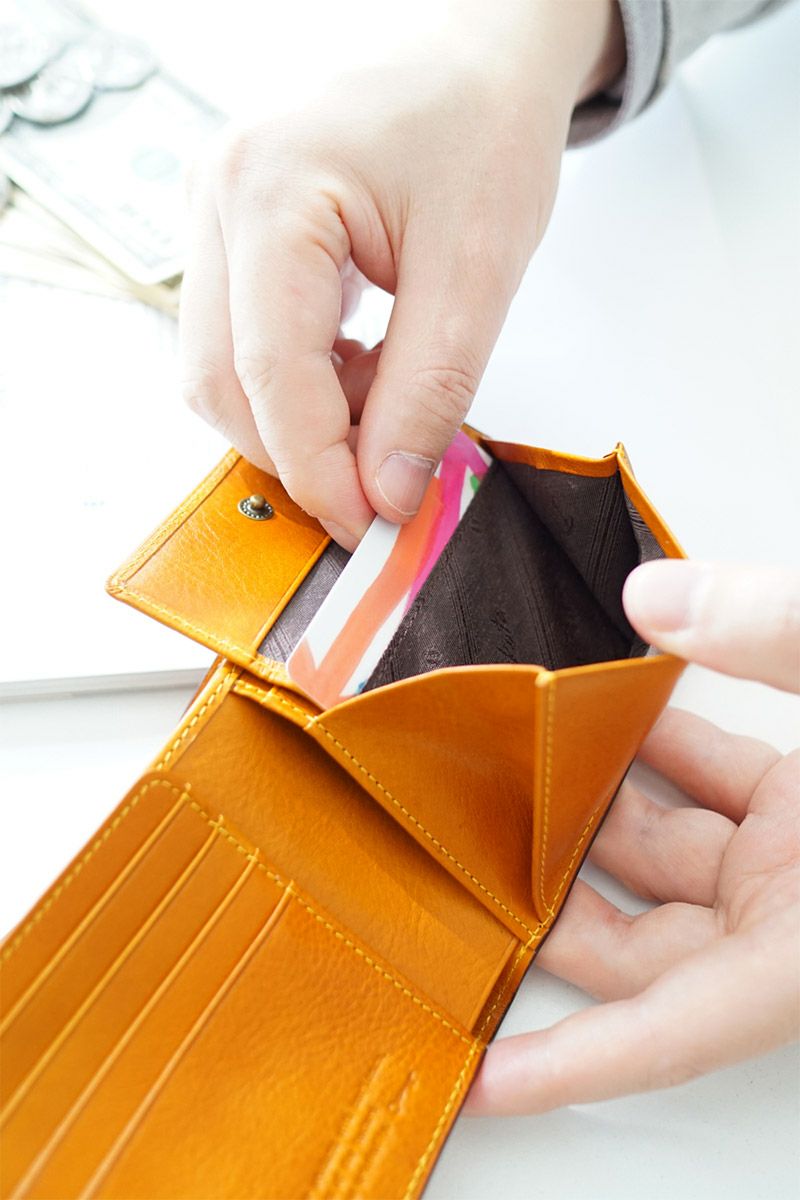 Dakota BLACK LABEL ダコタ ブラックレーベル エティカ 小銭入れ付き二つ折り財布 0620310