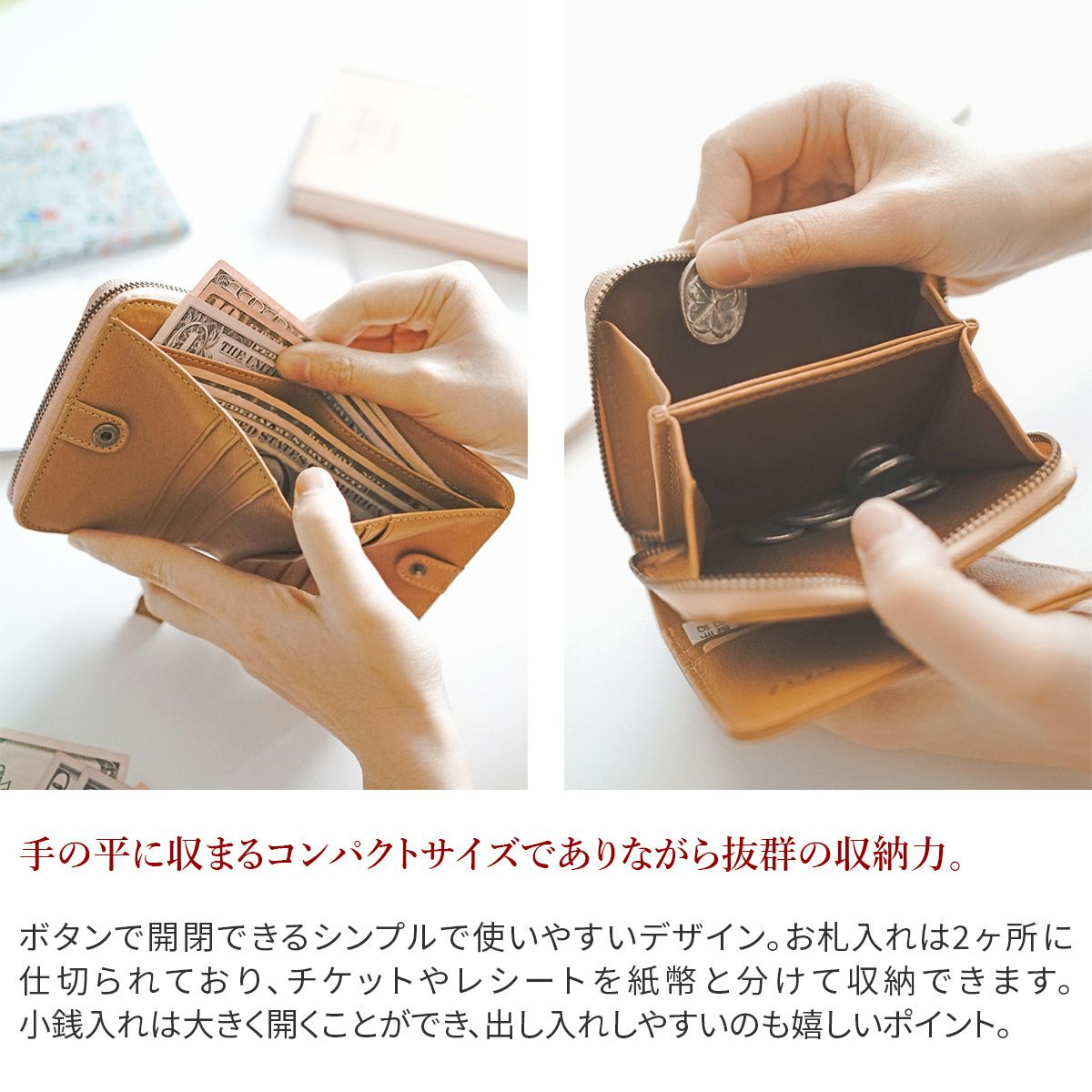 Dakota ダコタ アニマーレ 小銭入れ付き二つ折り財布（ラウンドファスナー式） 0030190