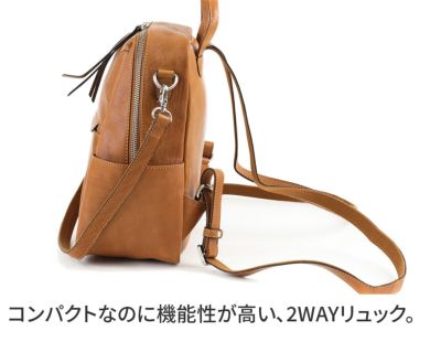 BAGGY'S ANNEX バギーズアネックス バフレザー 2WAY ミニリュック LZKM-5001