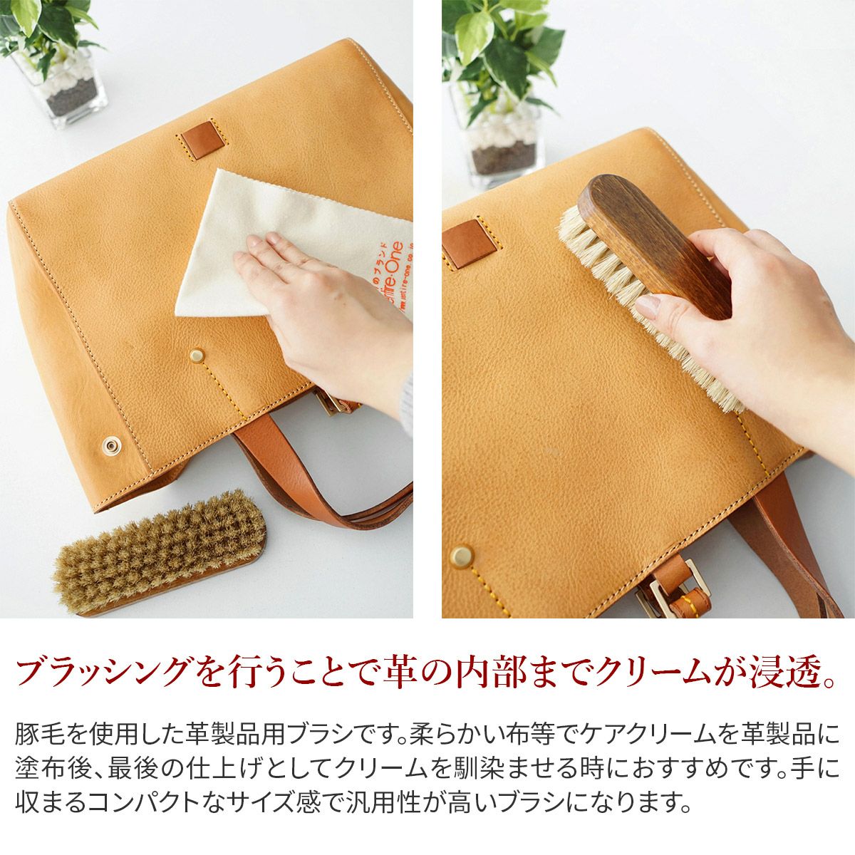 COLUMBUS コロンブス  豚毛ブラシ (中)