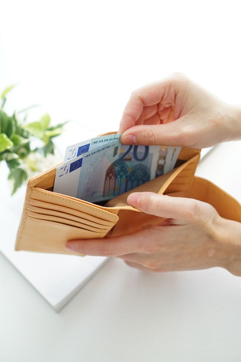 ALBERO アルベロ NATURE（ナチュレ） 小銭入れ付き二つ折り財布 5385