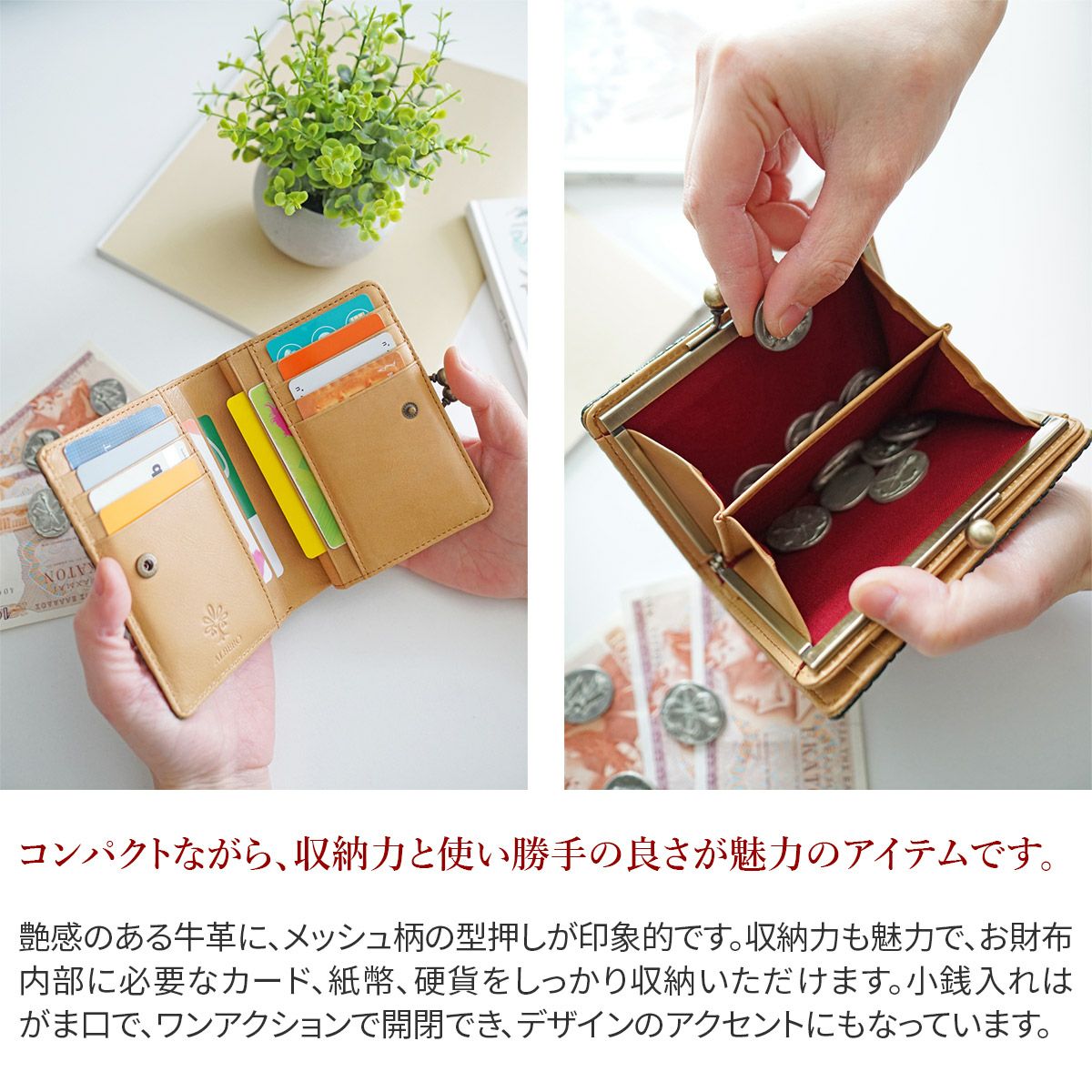 ALBERO アルベロ Maglietto（マリエット） 小銭入れ付き二つ折り財布 7004