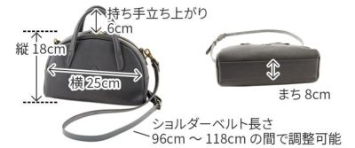 CLEDRAN クレドラン PROCHE プロシェ 2WAY ショルダーバッグ CR-CL3491