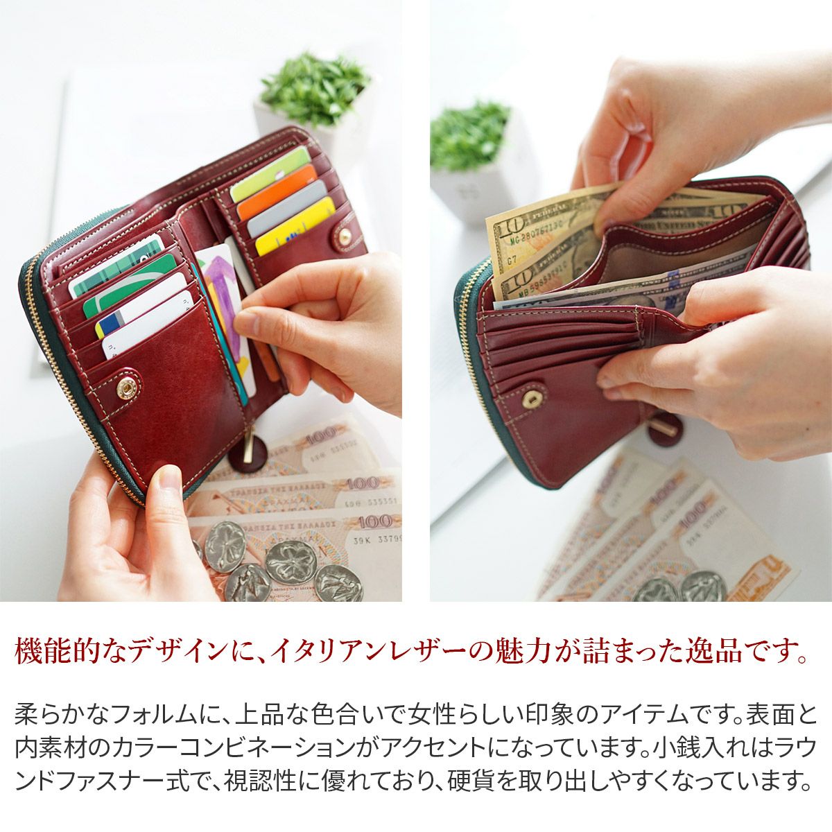 Dakota ダコタ チェルキオ 小銭入れ付き二つ折り財布 0030521 Dakota ダコタ チェルキオ 小銭入れ付き二つ折り財布 0030521