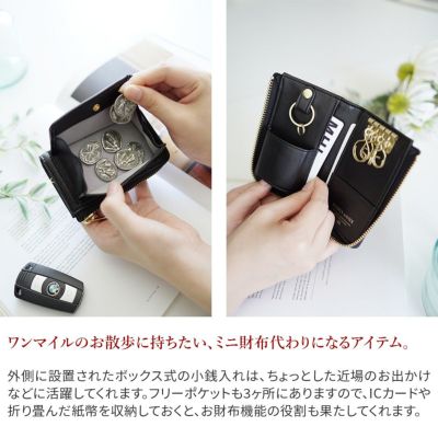 BAGGY'S ANNEX バギーズアネックス CACTUS LEATHER スマートキー対応 キーケース LZKM-393