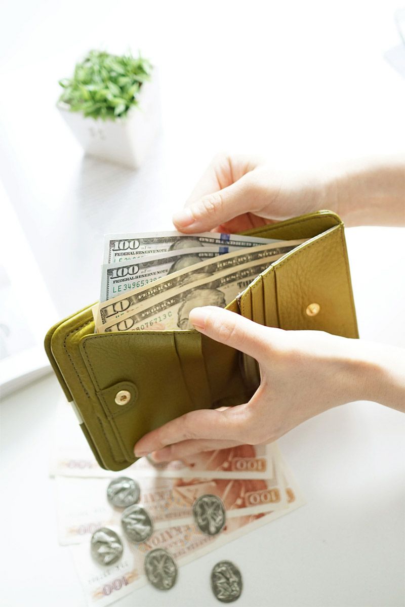 Dakota ダコタ ディクラッセ 小銭入れ付き二つ折り財布 0031404