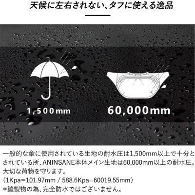 ANINSANE アンインセイン ボディバッグ AN-N03