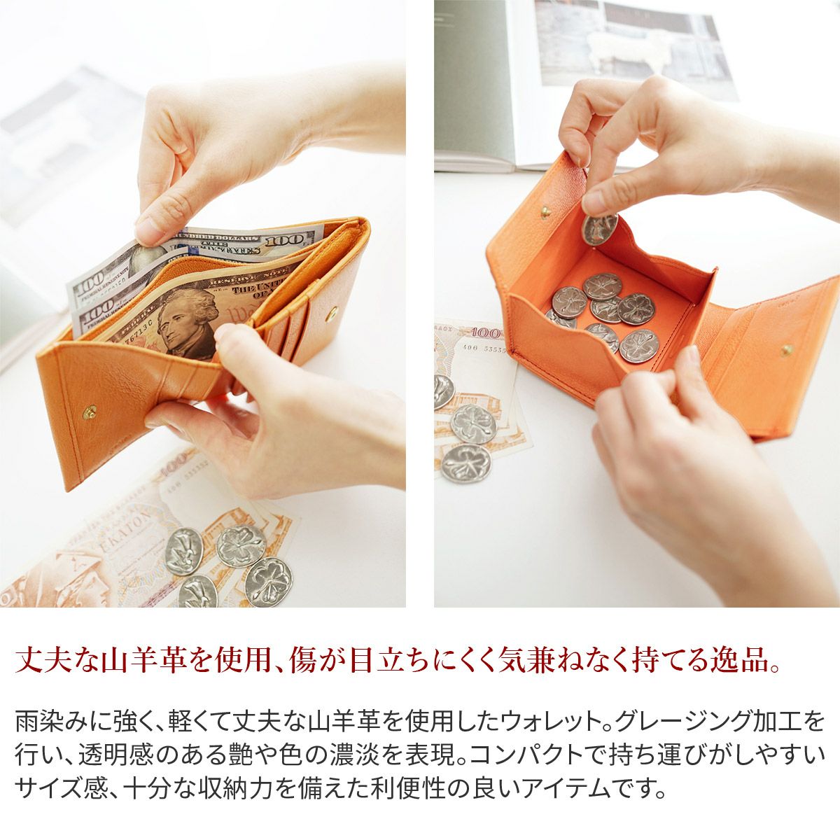 genten ゲンテン GOAT BASIC ゴートベーシック 小銭入れ付き二つ折り財布 44355