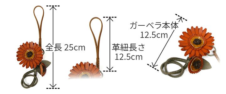 genten ゲンテン エヴァーチャーム ガーベラ 43899