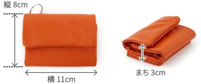 TIDEWAY タイドウェイ MONTH マンス SMALL WALLET SHOULDER T2842