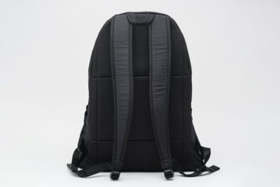 ANINSANE アンインセイン PACKABLE PACK パッカブル パック バックパック AN-P01