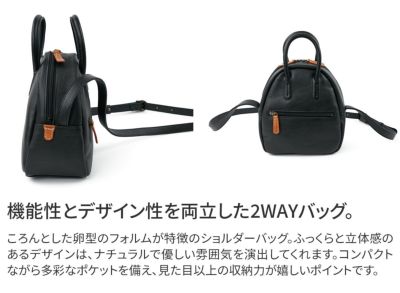 Dakota ダコタ ファビーニ 2WAYショルダーバッグ 1034701