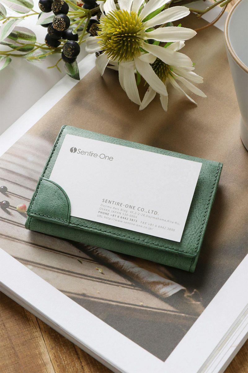 BAGGY'S ANNEX バギーズアネックス FOG leather (フォグレザー) 名刺入れ LZYS-7006