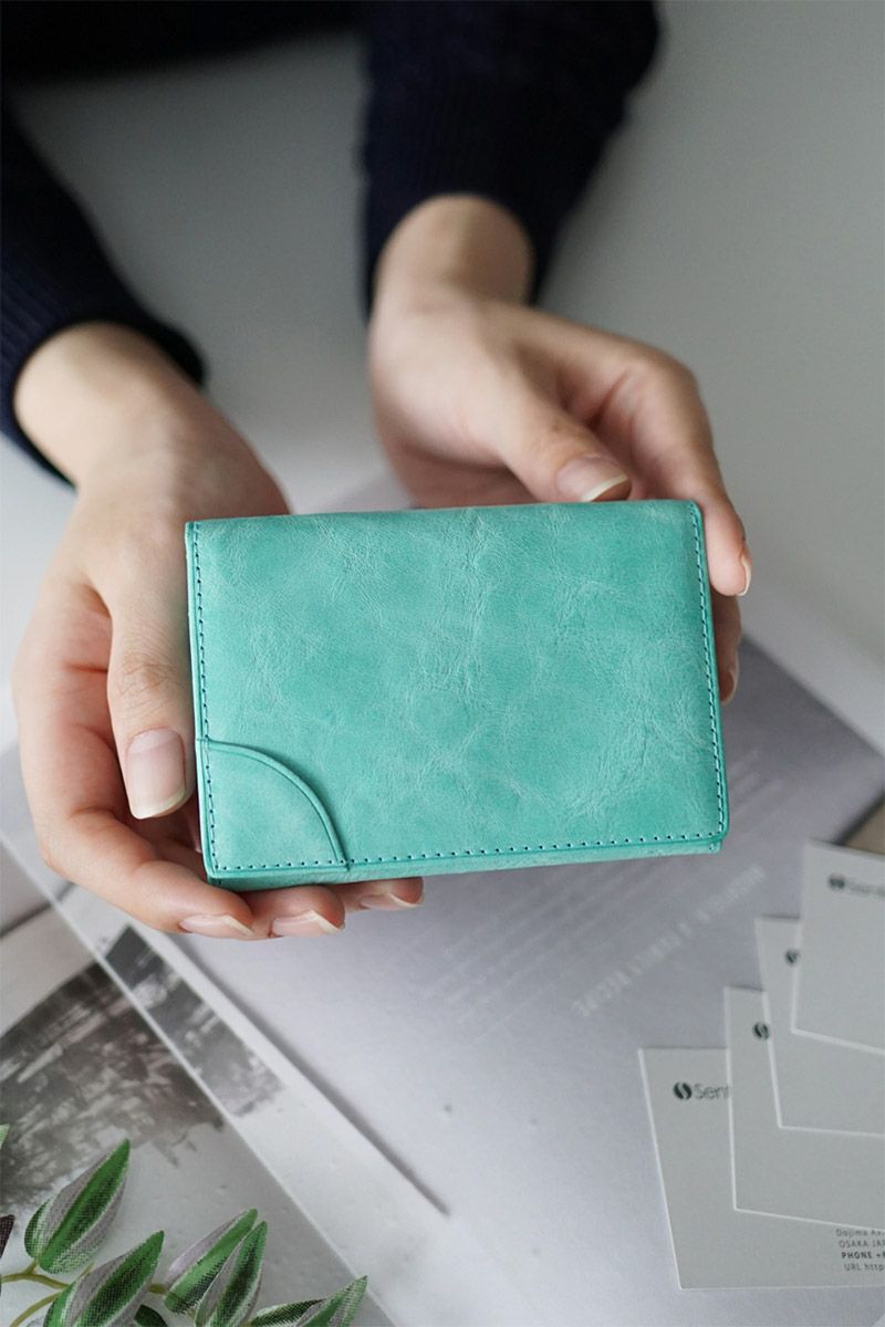 BAGGY'S ANNEX バギーズアネックス FOG leather (フォグレザー) 名刺入れ LZYS-7006