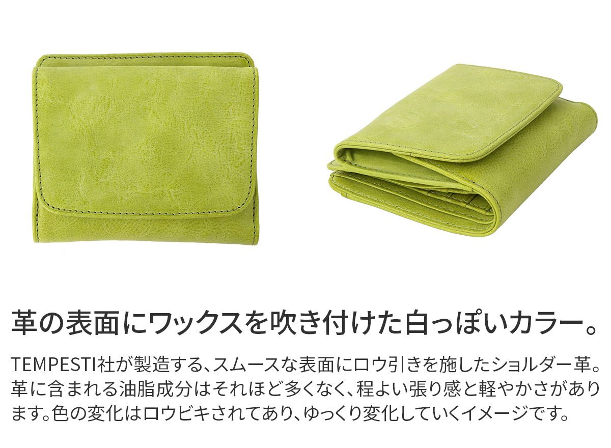 BAGGY'S ANNEX バギーズアネックス FOG leather (フォグレザー) 小銭入れ付き二つ折り財布 LZYS-7008