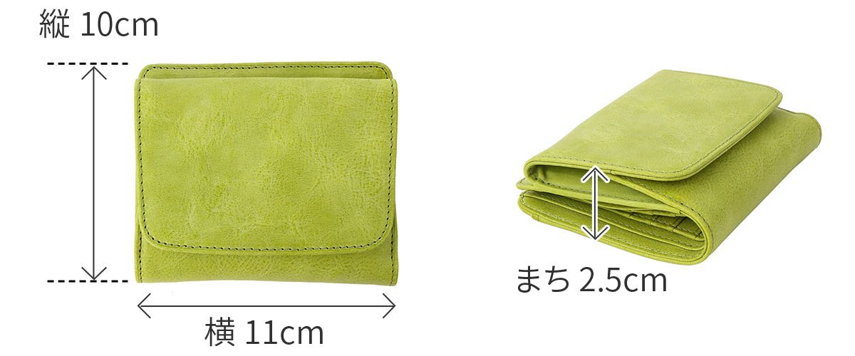 BAGGY'S ANNEX バギーズアネックス FOG leather (フォグレザー) 小銭入れ付き二つ折り財布 LZYS-7008