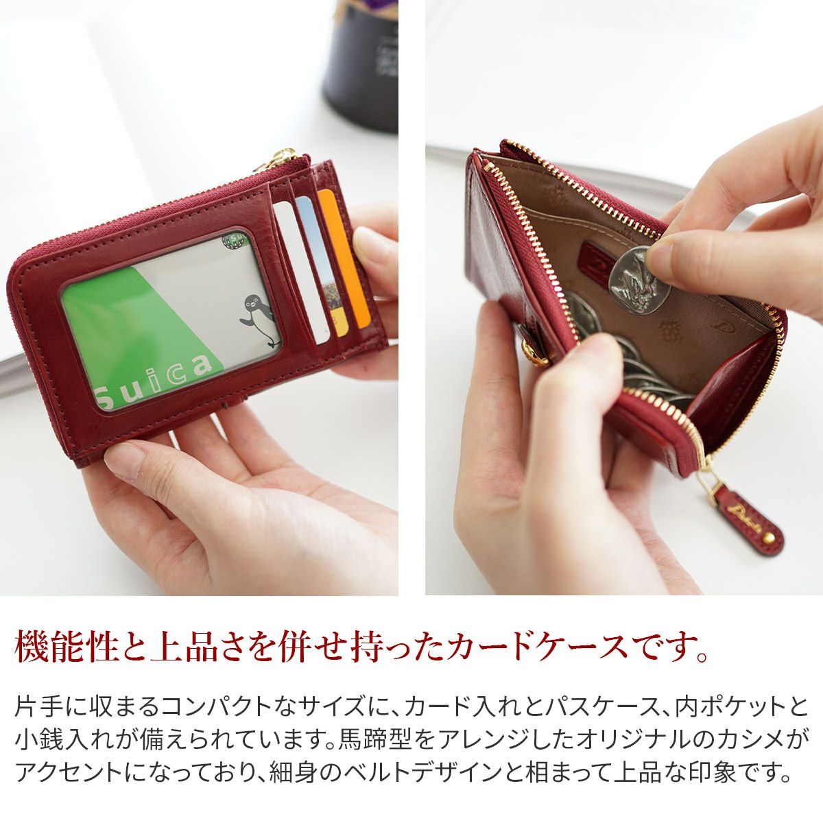 Dakota ダコタ クーポラ 小銭入れ付きカードケース 0031725
