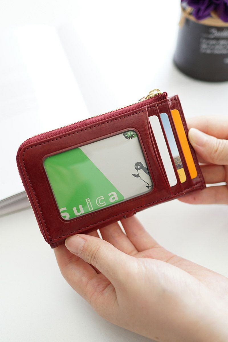 Dakota ダコタ クーポラ 小銭入れ付きカードケース 0031725