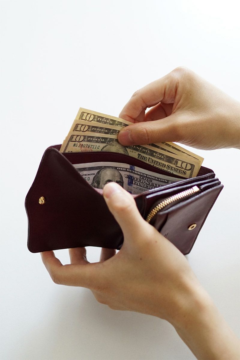 Dakota BLACK LABEL ダコタ ブラックレーベル ヒルツ 小銭入れ付き財布 0620080