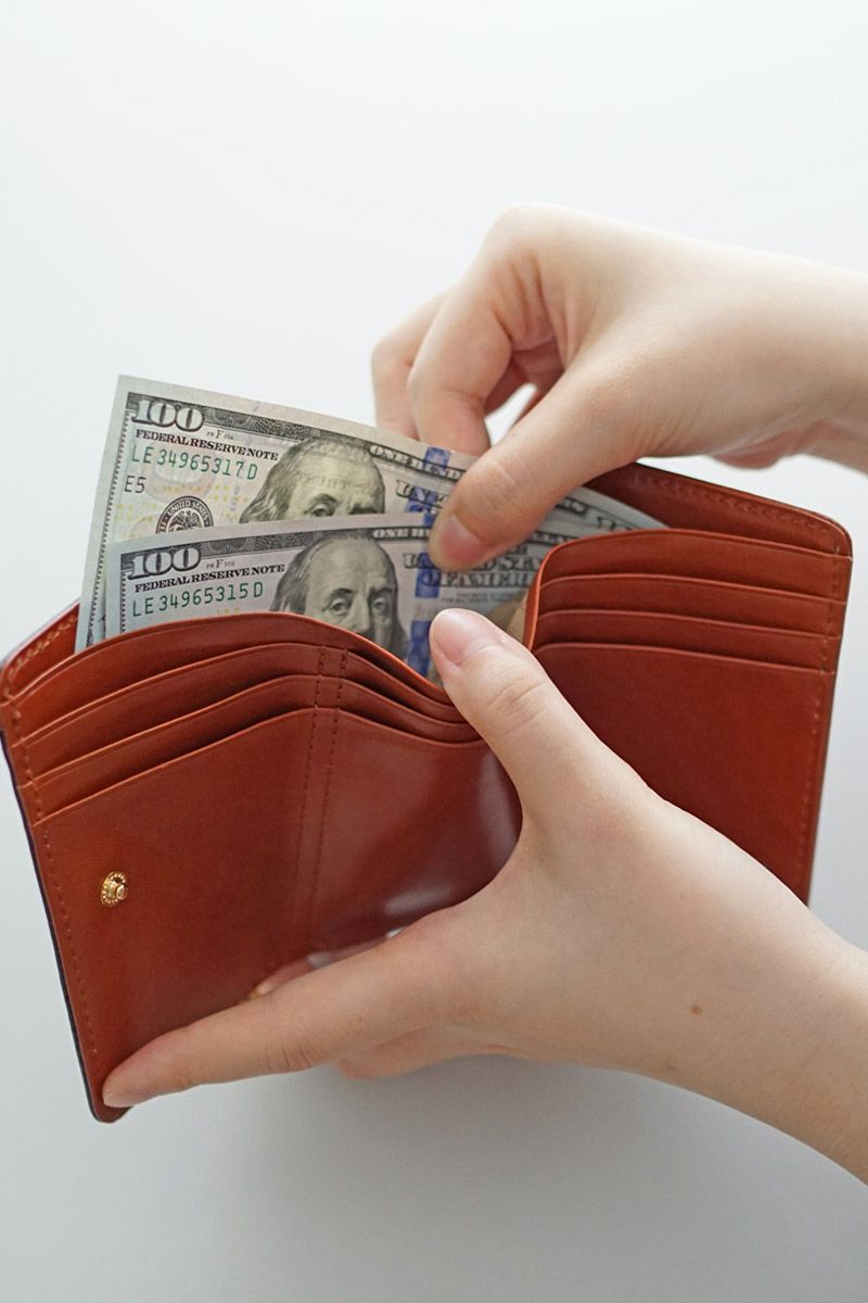 Dakota ダコタ ラフィナート 小銭入れ付き三つ折り財布 0031740