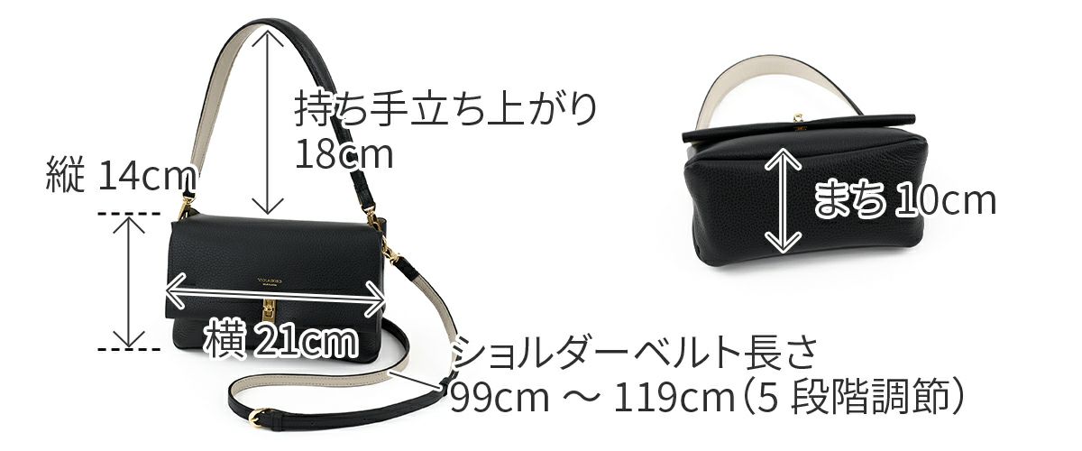 VIOLAd'ORO ヴィオラドーロ TRERO トレロ Wフェイス ワンショルダーバッグ V-1599