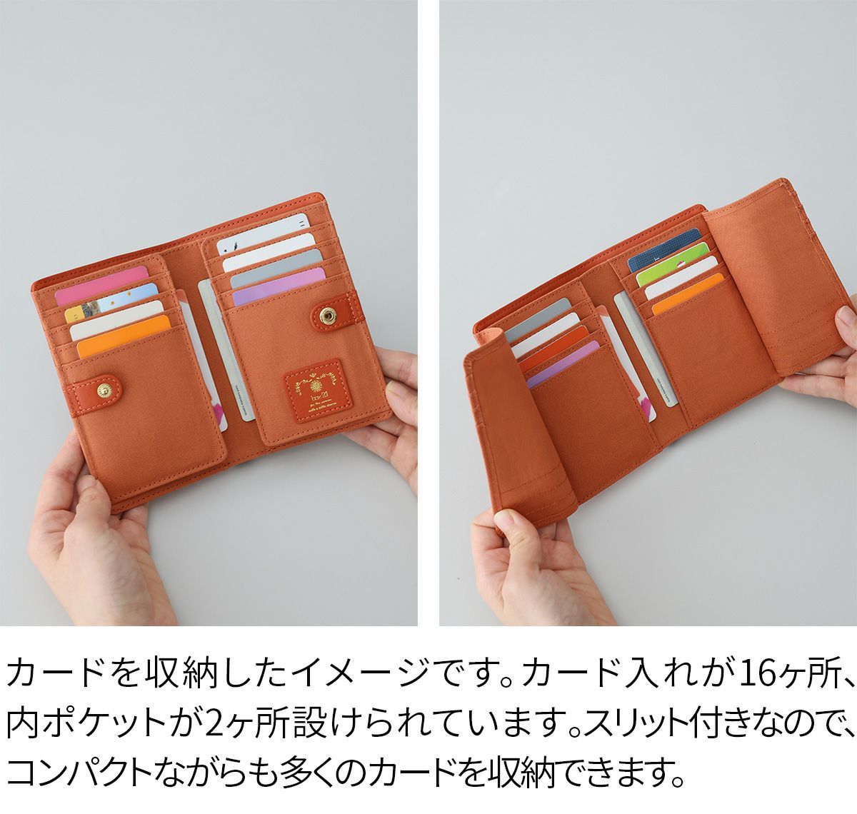 box21 ボックス21 ジューン カードケース 0332377