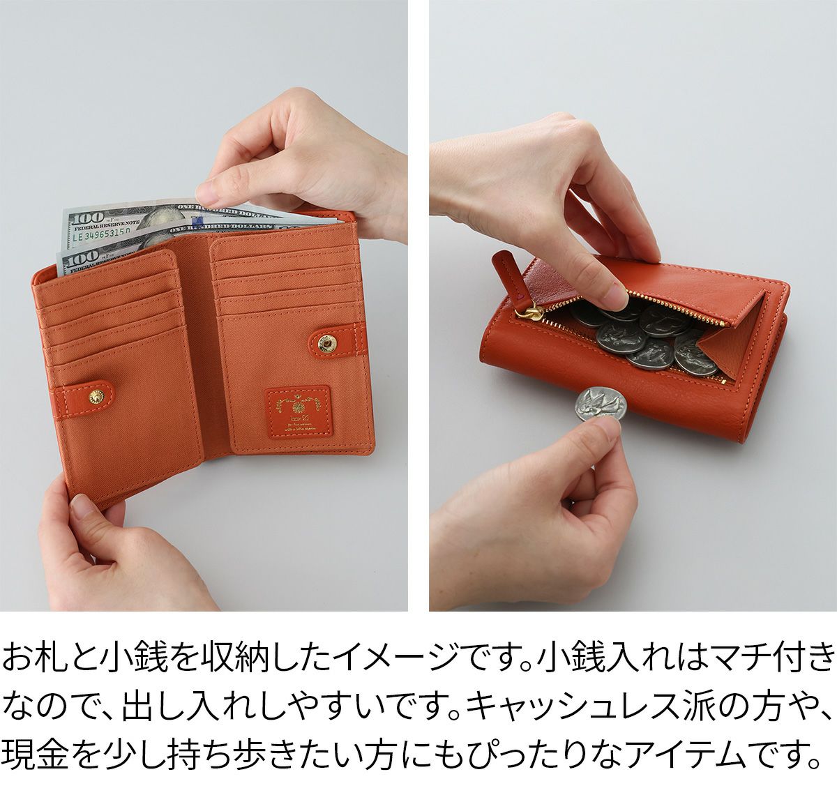 box21 ボックス21 ジューン カードケース 0332377
