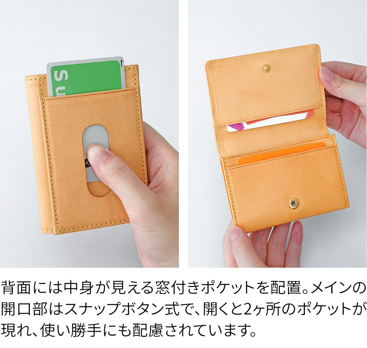 ALBERO アルベロ NATURE ナチュレ カードケース 5415