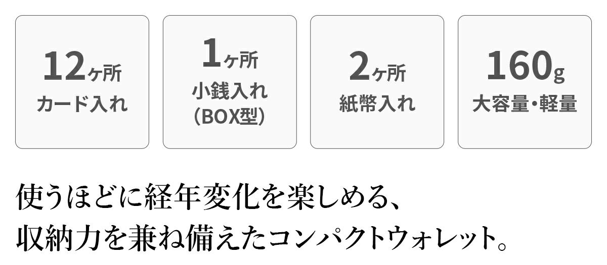 BAGGY'S ANNEX バギーズアネックス NATURAL BOX ナチュラルボックス 小銭入れ付き二つ折り財布（ラウンドファスナー式 ） LZKM-3601