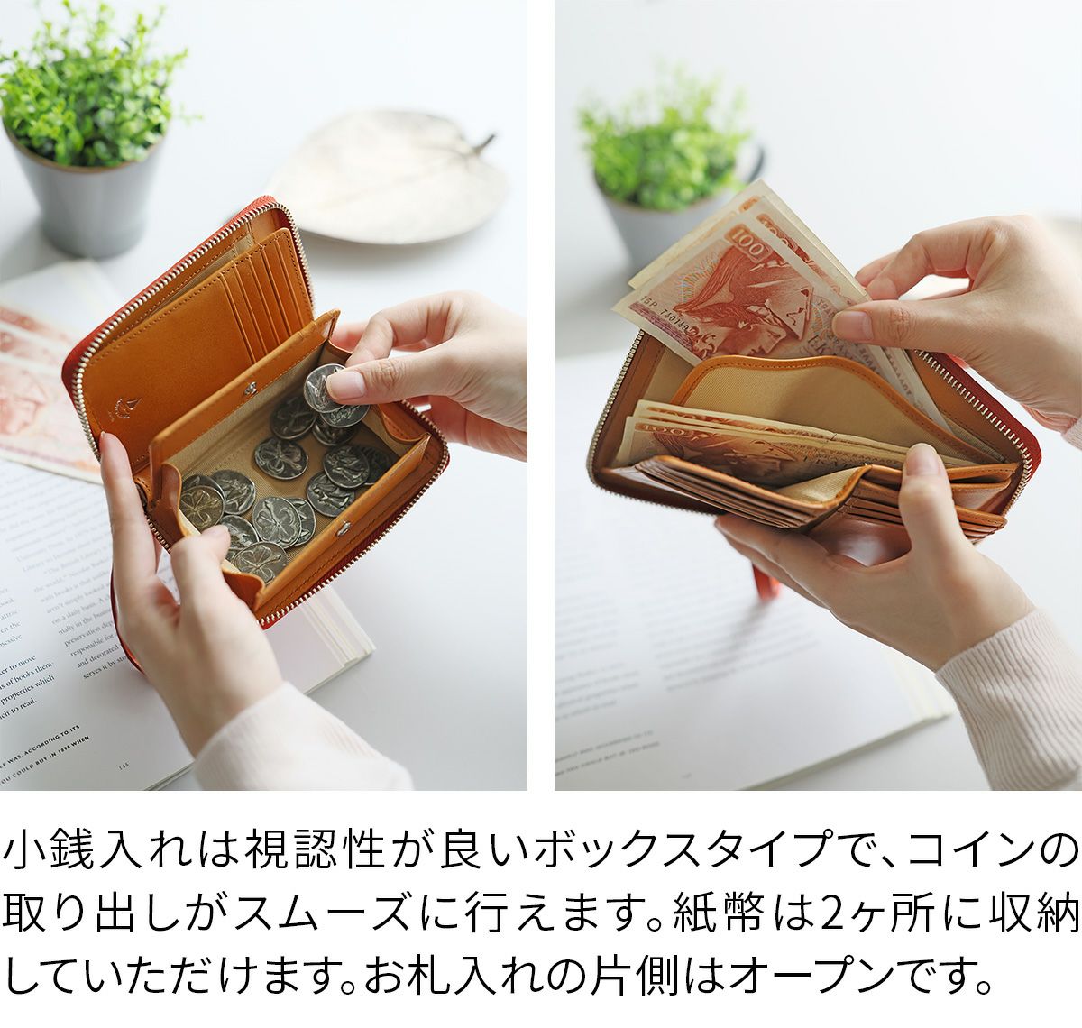 BAGGY'S ANNEX バギーズアネックス NATURAL BOX ナチュラルボックス 小銭入れ付き二つ折り財布（ラウンドファスナー式 ） LZKM-3601